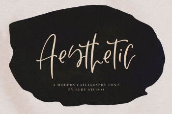 Aesthetic – Modern Calligraphy Font - Redy Studio - Unique, high ...